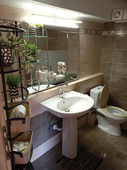 Thea'S Country House Aryiroúpolis Dış mekan fotoğraf
